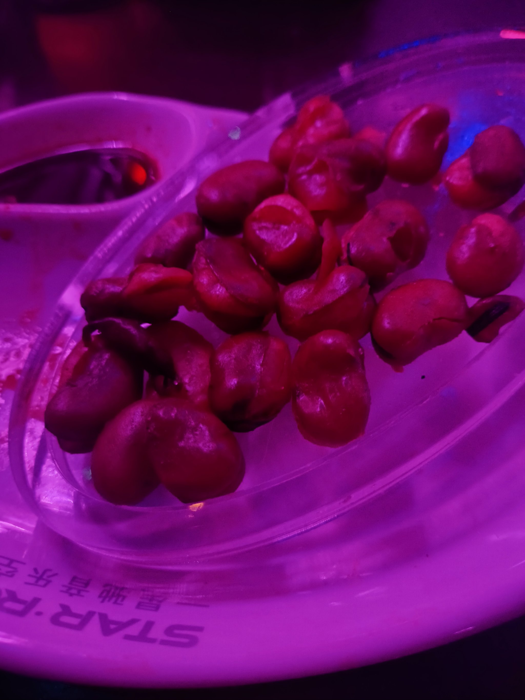 昆明商务ktv与片场的区别解析-呈贡区ktv预订